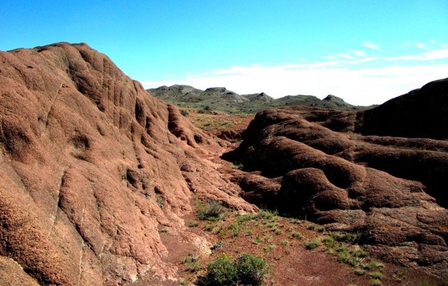 Удачная поездка в Монголию: Южная Гоби &mdash; 2019. Часть 3