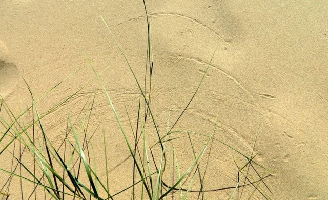 Удачная поездка в Монголию: Южная Гоби &mdash; 2019. Часть 3