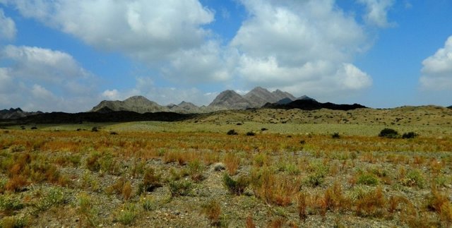 Удачная поездка в Монголию: Южная Гоби &mdash; 2019. Часть 3