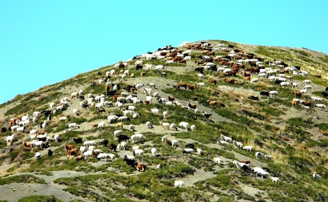 Удачная поездка в Монголию: Южная Гоби &mdash; 2019. Часть 3