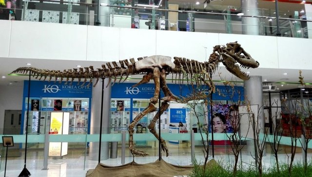 Удачная поездка в Монголию: Южная Гоби &mdash; 2019. Часть 3