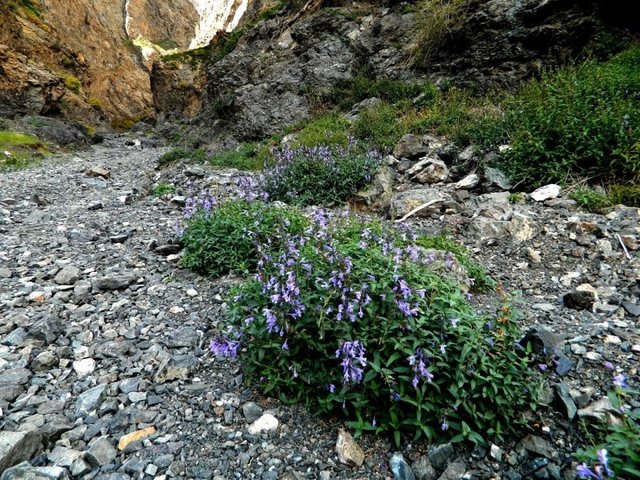 Удачная поездка в Монголию: Южная Гоби &mdash; 2019. Часть 3