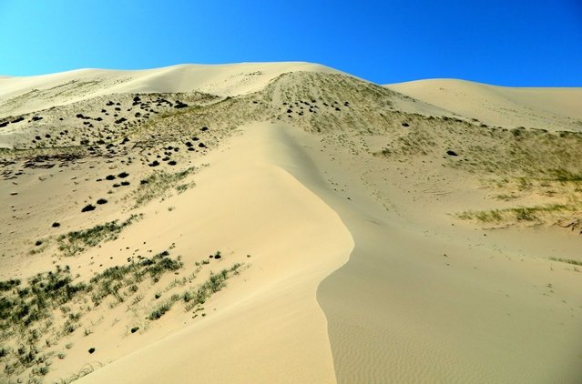 Удачная поездка в Монголию: Южная Гоби &mdash; 2019. Часть 3
