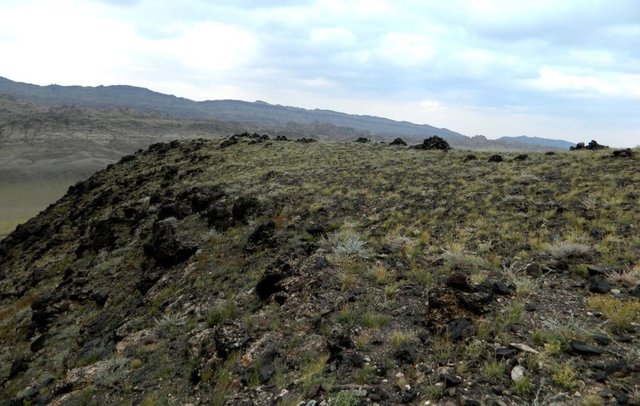 Удачная поездка в Монголию: Южная Гоби &mdash; 2019. Часть 3