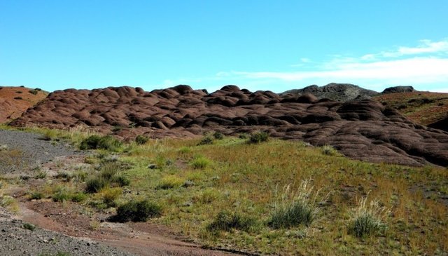 Удачная поездка в Монголию: Южная Гоби &mdash; 2019. Часть 3