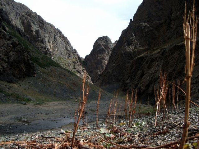 Удачная поездка в Монголию: Южная Гоби &mdash; 2019. Часть 3
