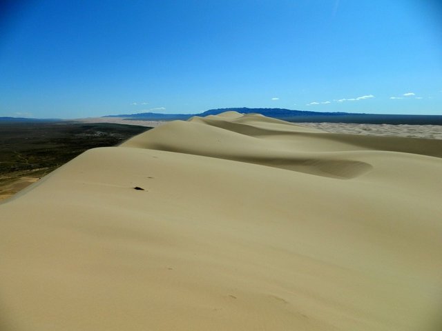 Удачная поездка в Монголию: Южная Гоби &mdash; 2019. Часть 3