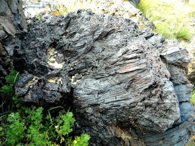 Удачная поездка в Монголию: Южная Гоби &mdash; 2019. Часть 3