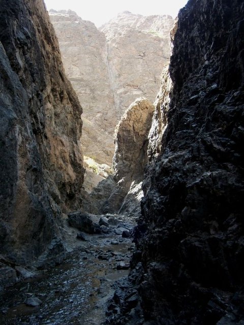 Удачная поездка в Монголию: Южная Гоби &mdash; 2019. Часть 3