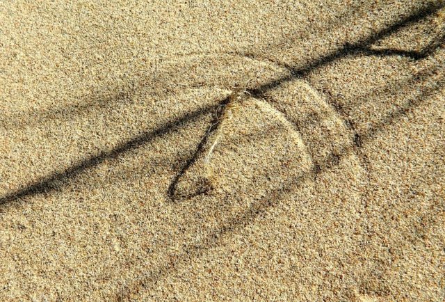 Удачная поездка в Монголию: Южная Гоби &mdash; 2019. Часть 3