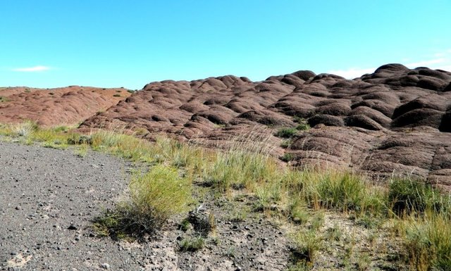 Удачная поездка в Монголию: Южная Гоби &mdash; 2019. Часть 3