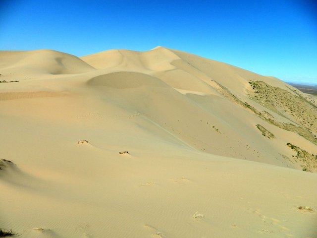 Удачная поездка в Монголию: Южная Гоби &mdash; 2019. Часть 3