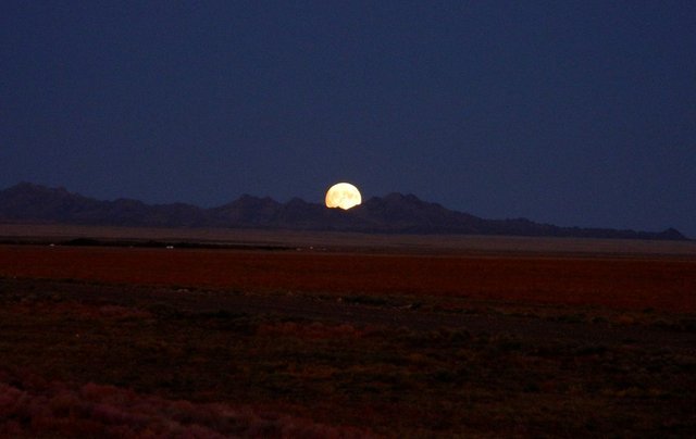 Удачная поездка в Монголию: Южная Гоби &mdash; 2019. Часть 3