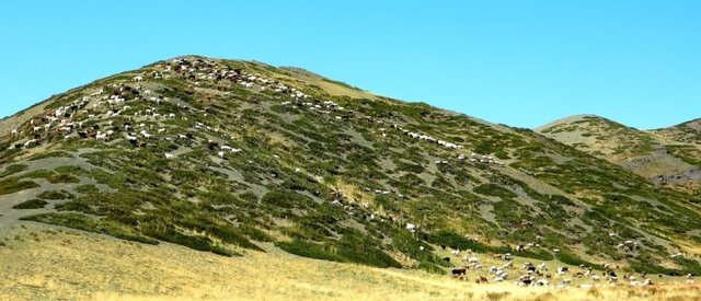 Удачная поездка в Монголию: Южная Гоби &mdash; 2019. Часть 3