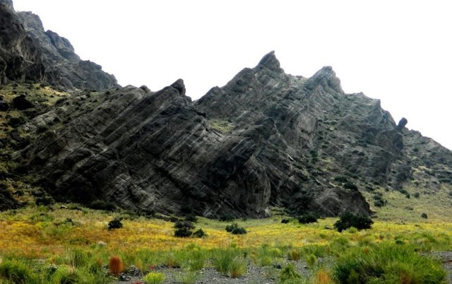 Удачная поездка в Монголию: Южная Гоби &mdash; 2019. Часть 3