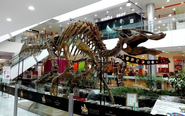 Удачная поездка в Монголию: Южная Гоби &mdash; 2019. Часть 3