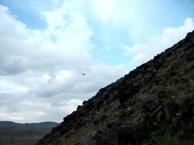 Удачная поездка в Монголию: Южная Гоби &mdash; 2019. Часть 3