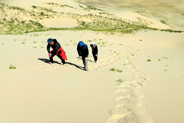 Удачная поездка в Монголию: Южная Гоби &mdash; 2019. Часть 3