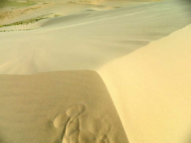 Удачная поездка в Монголию: Южная Гоби &mdash; 2019. Часть 3