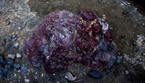 Удачная поездка в Монголию: Южная Гоби &mdash; 2019. Часть 3