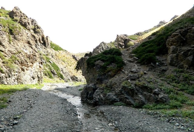 Удачная поездка в Монголию: Южная Гоби &mdash; 2019. Часть 3