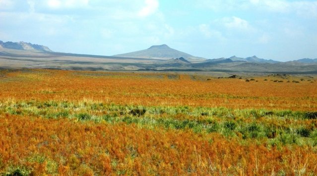 Удачная поездка в Монголию: Южная Гоби &mdash; 2019. Часть 3
