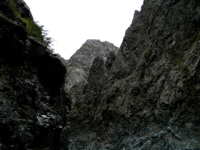 Удачная поездка в Монголию: Южная Гоби &mdash; 2019. Часть 3