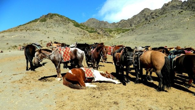 Удачная поездка в Монголию: Южная Гоби &mdash; 2019. Часть 3