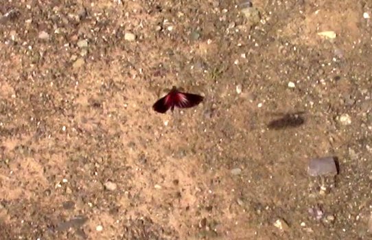 Удачная поездка в Монголию: Южная Гоби &mdash; 2019. Часть 3